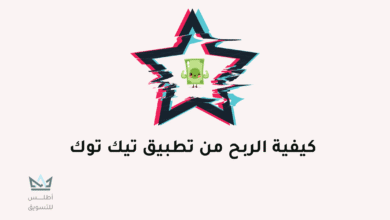 الربح من تيك توك