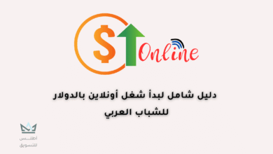 شغل أون لاين بالدولار