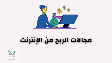 مجالات الربح من الانترنت