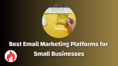 Top 7 Best Email Marketing Platforms for Small Businesses