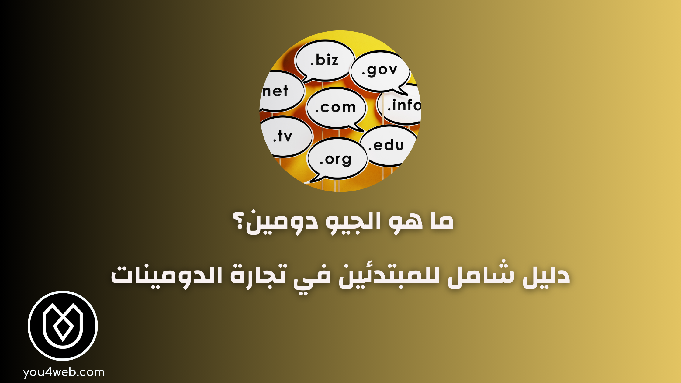 ما هو الجيو دومين؟ دليل شامل للمبتدئين في تجارة الدومينات تجارة الدومينات