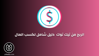 الربح من تيك توك 2025: خطوات عملية لتحقيق النجاح المالي